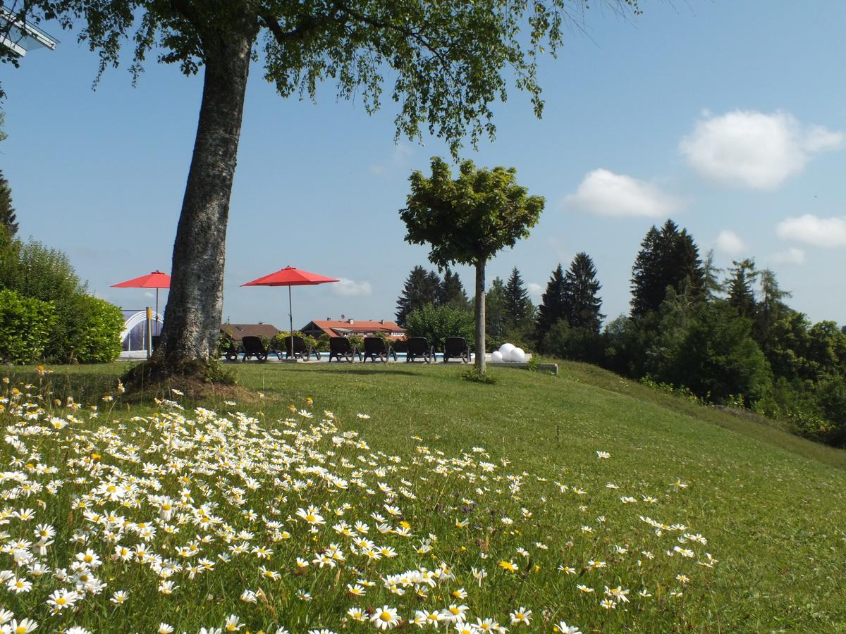 Gastehaus Pension Bergwald Scheidegg Eksteriør billede