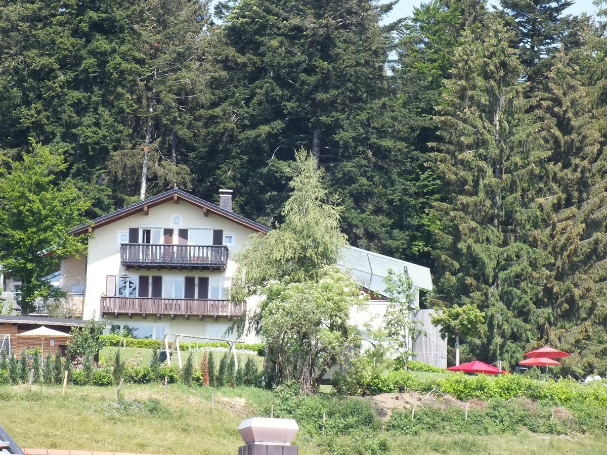 Gastehaus Pension Bergwald Scheidegg Eksteriør billede